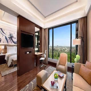 Hotel The Leela Ambience Convention Delhi 5*